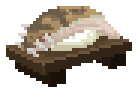 Longnose Sawshark Sushi
