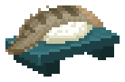 Snub-nosed Spiny Eel Sushi